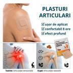 Plasturi Articulari cu Nano-Tehnologie Germană, 1 Plic (30 Plasturi)