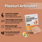 Plasturi Articulari cu Nano-Tehnologie Germană, 1 Plic (30 Plasturi)
